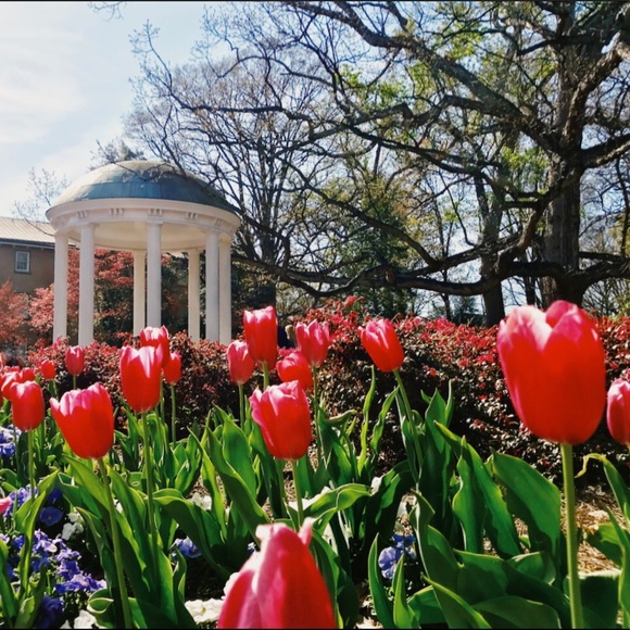 Meet your Posher, Robin - Picture 1 of 1